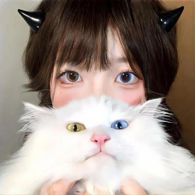 二小放牛郎海报